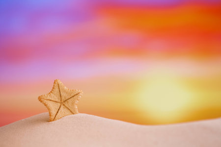 deepwater rare starfish with ocean , beach and seascape, shallow dof