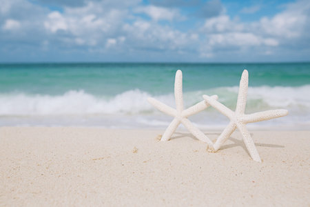white starfish on white sand beach, with ocean sky and seascape, shallow dof
