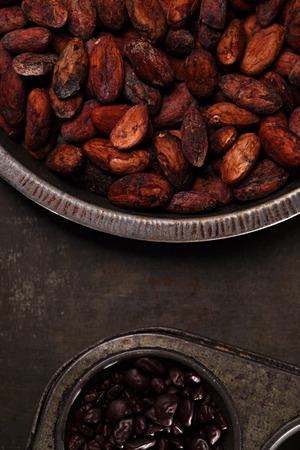 roasted cocoa chocolate beans in Vintage tin and chocolate in baking tin  on metalbackgroundの写真素材