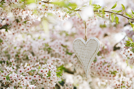 wooden heart in Spring with blossom cherry flower sakuraの写真素材