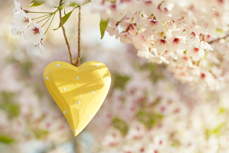 wooden heart in Spring with blossom cherry flower sakuraの写真素材