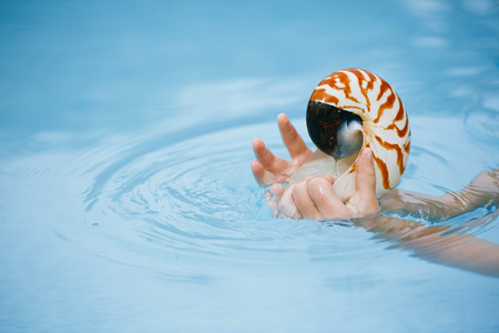nautilus seashell in child hands with crystal blue water background, shallow dofの写真素材