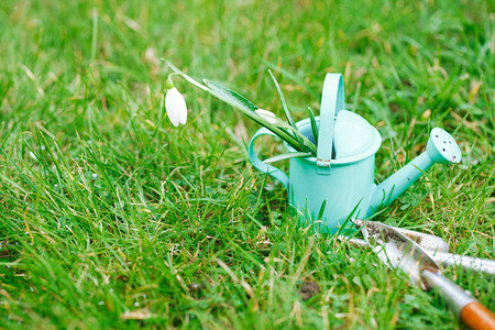 time for garden nowâ¦. decorative small gardening tools and snowdrops  on grassの写真素材