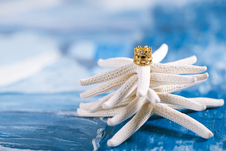 starfish christmas tree on beach with seascape background