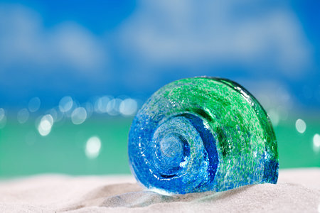 glass tropical sea  shell on white  beach sand under the sun light, shallow dof