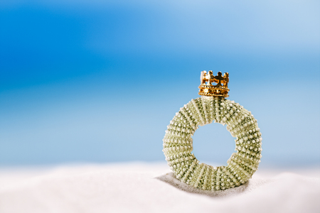 tiny urchin shell starfish with golden crown  ocean, on white sand beachの写真素材