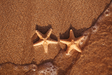 red starfish on sand beach with wave and ocean , shallow dofの写真素材