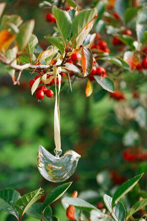 glass bird hanging on a tree with red berries,  shallow dofの写真素材