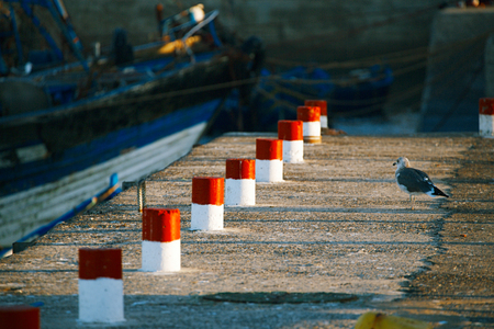 details in the Skala du Port in Essaouira, Morocco.の写真素材