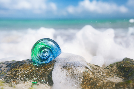 glass tropical sea  shell with waves under sun light, live actionの写真素材
