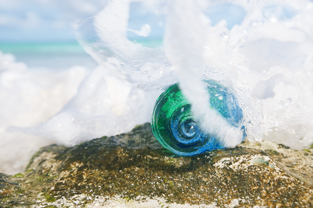glass tropical sea  shell with waves under sun light, live actionの写真素材