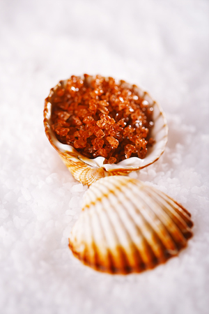 Hawaiian Red Gold Salt in sea shell on salt backgroundの写真素材