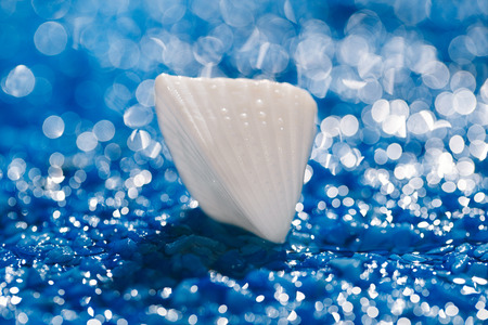white exitoic sea shell on blue pebble under water droplets ...の写真素材