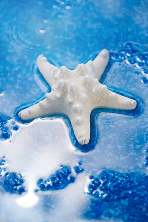 large white starfish sea shell on blue pebble with water dropsの写真素材