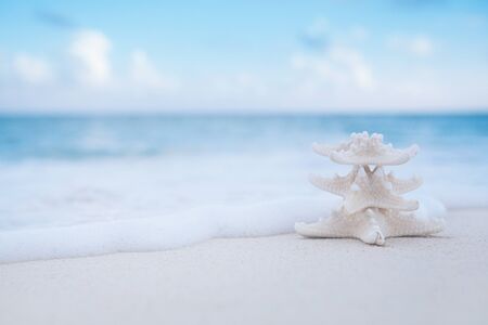 white starfish on white sand beach, with ocean sky and seascape, shallow dofの写真素材