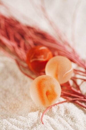 sea glass marbles with red corall  on white sand beach with seascapeの写真素材