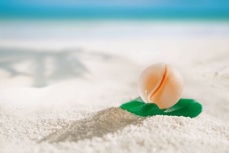 sea glass marbles  with white sand beach  seascapeの写真素材