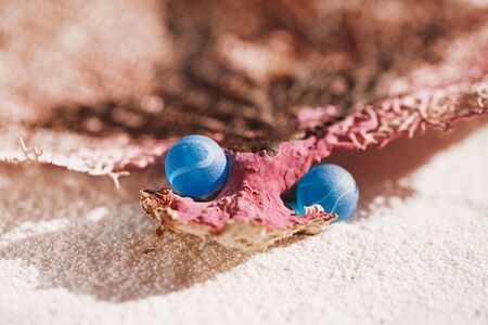 sea glass and marble  on coral with white sand beach  seascapeの写真素材