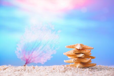 starfish tower on white ocean beach with seascape backgroundの写真素材