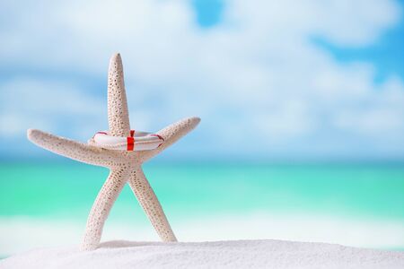 starfish  on white ocean beach with seascape backgroundの写真素材