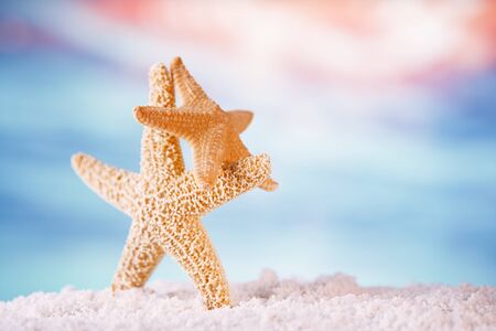 starfish on sand  with golden tropical ocean underwater seascapeの写真素材