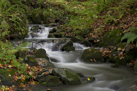 Western Caucasus near Sochi. Autumn creek.の写真素材