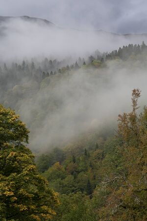 Autumn in the Caucasus. Sochi Region. The surroundings of Krasnaya Polyana.の写真素材