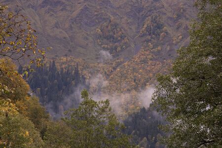 Autumn in the Caucasus. Sochi Region. The surroundings of Krasnaya Polyana. Russia.の写真素材