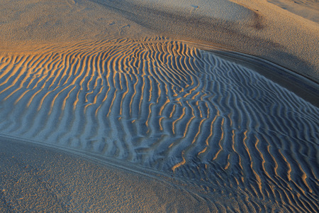 Yakutia, Lena river, sand spit.の写真素材
