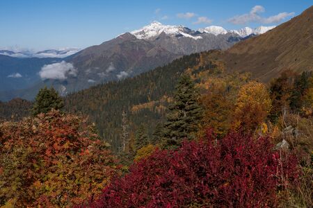 Autumn in the mountains of the North Caucasus. Sochi Region. Russia.の写真素材