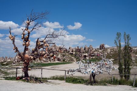 Ceramic pots on the branches of a tree. Cappadocia. Turkey.の写真素材