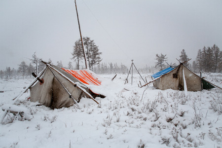 Tents in the forest covered with snow. Cherskogo Ridge, Yakutia, Russia.の写真素材