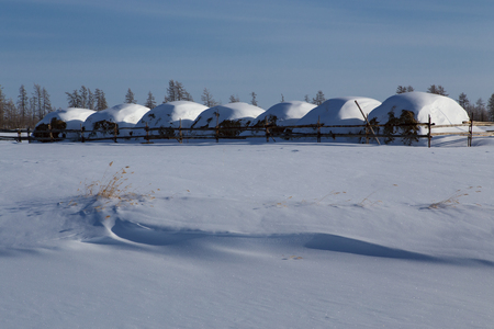 Seven stacks of hay in the snow. Yakutia. Russia.の写真素材