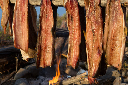 Fish fillets sun-dried over a fire. Fishing in Yakutia. Russia.の写真素材