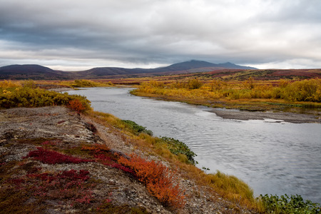 River with the banks in the autumn coloring. Sob River. Polar Urals. Russia.の写真素材