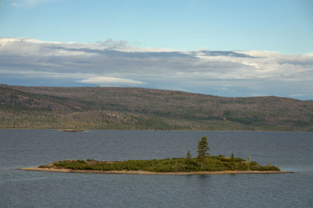 The island with a tree in the middle of the lake. Lake Labynkyr. Yakutia. Russia.
