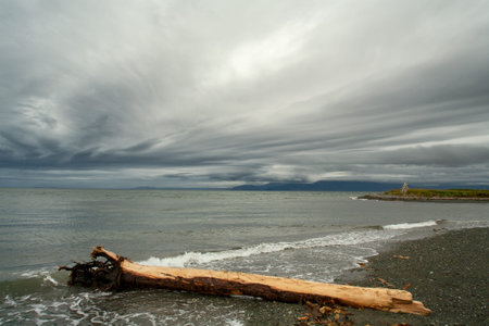 Tree trunk lying on the beach. The sea of Okhotsk. The Koni Peninsula. Magadan oblast.の写真素材
