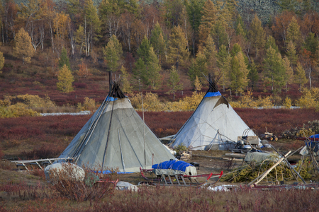 The camp of Nenets reindeer herders. Polar Urals. The Republic Of Komi. Russia.の写真素材