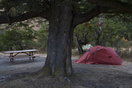 A camp under a tree with a tent and bench. National Park Torres del Paine, Patagonia, Chile.の写真素材