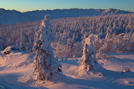 Snowy winter landscape in the mountains. National Park Taganay. Southern Urals. Russia.の写真素材