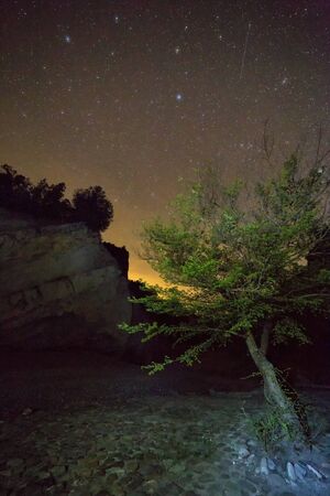 The tree in the gorge under the starry sky. Vashlovani protected areas in Georgia.の写真素材