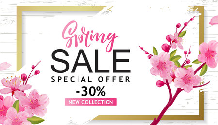 Spring Sale Vector Illustration. Banner With Cherry Blossoms.のイラスト素材