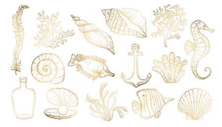 Sea shell, seaweed, anchor, seahorse, and fish. Hand drawn underwater creatures.のイラスト素材