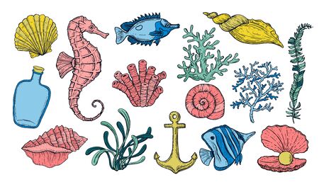 Sea shell, seaweed, anchor, seahorse, and fish. Hand drawn underwater colorful creatures.のイラスト素材
