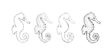 Hand drawn seahorse constuctor. Outline sea design element with dots.のイラスト素材