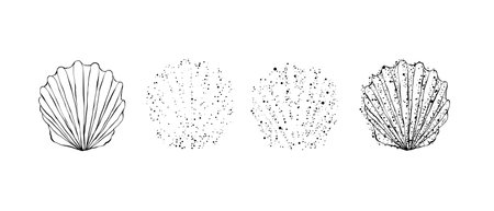 Hand drawn black contour seashell. Outline, cartoon, tattoo design with dots. Stipple effectのイラスト素材