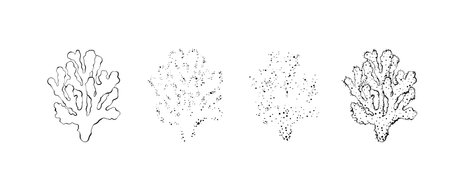 Hand drawn corals constructor. Outline design with dots, spray texture.のイラスト素材