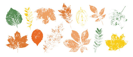 Set of colorful isolated autumn leaves. Grunge foliage stamps.