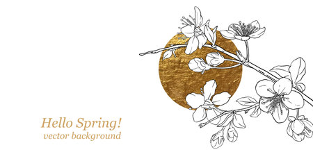 Hand drawn branch of sakura with blooms, flowers, leaves, petals. Golden circle, sun. Modern line art style. Botanical composition for card, invitation, logo, fabric print, packaging, corporate brand.のイラスト素材