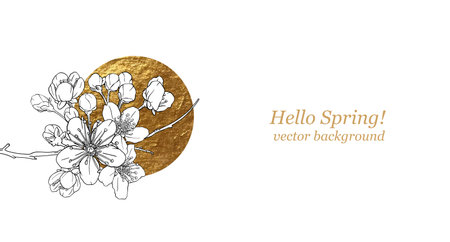 Hand drawn branch of sakura with blooms, flowers, leaves, petals. Golden circle, sun. Modern line art style. Botanical composition for card, invitation, logo, fabric print, packaging, corporate brand.のイラスト素材